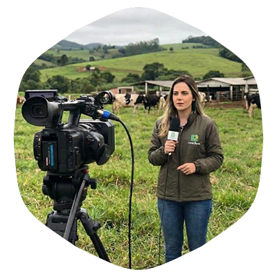 Streaming & Online Media